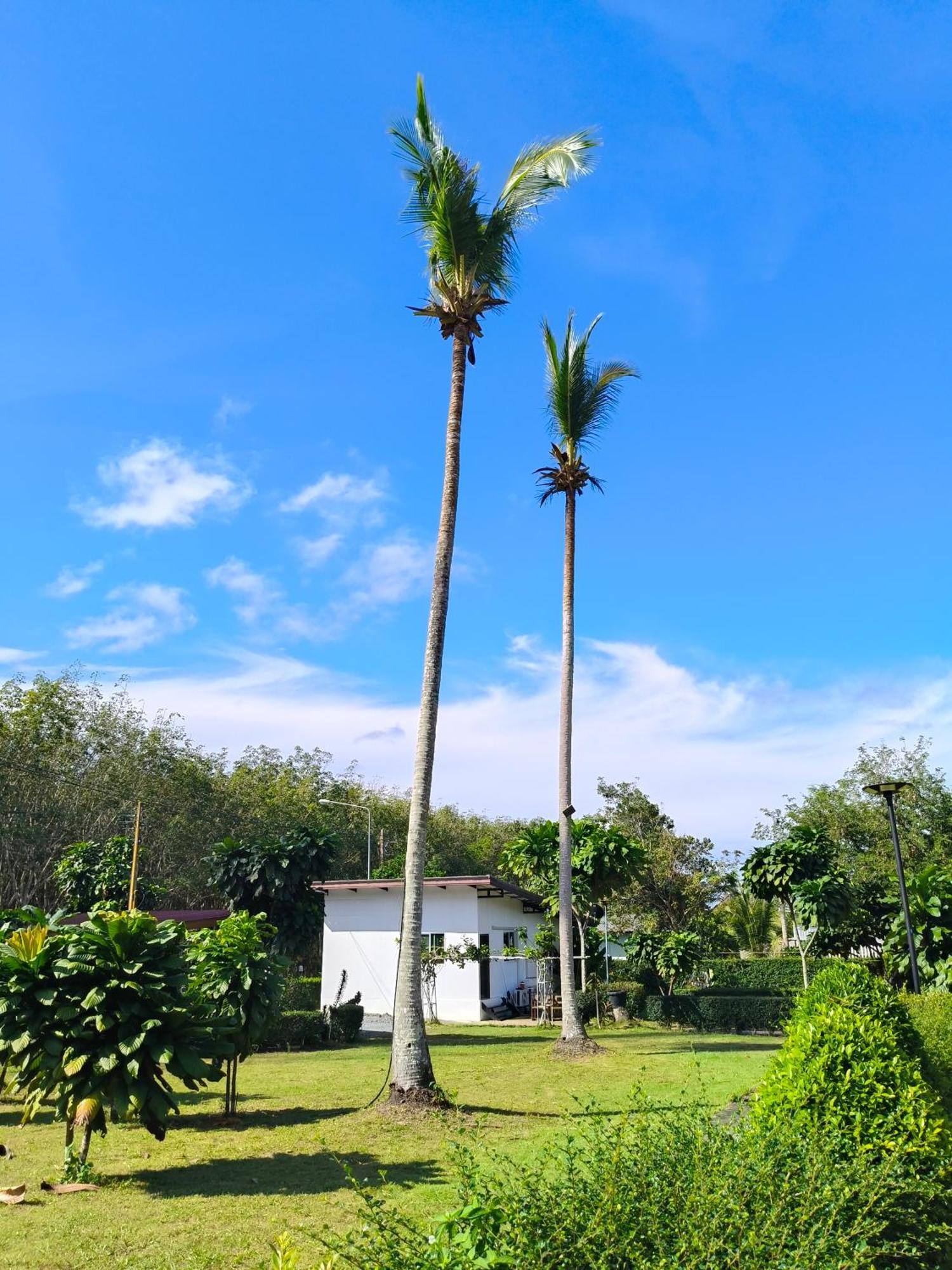 The Lodge At Koh Kood Ko Kut Bagian luar foto